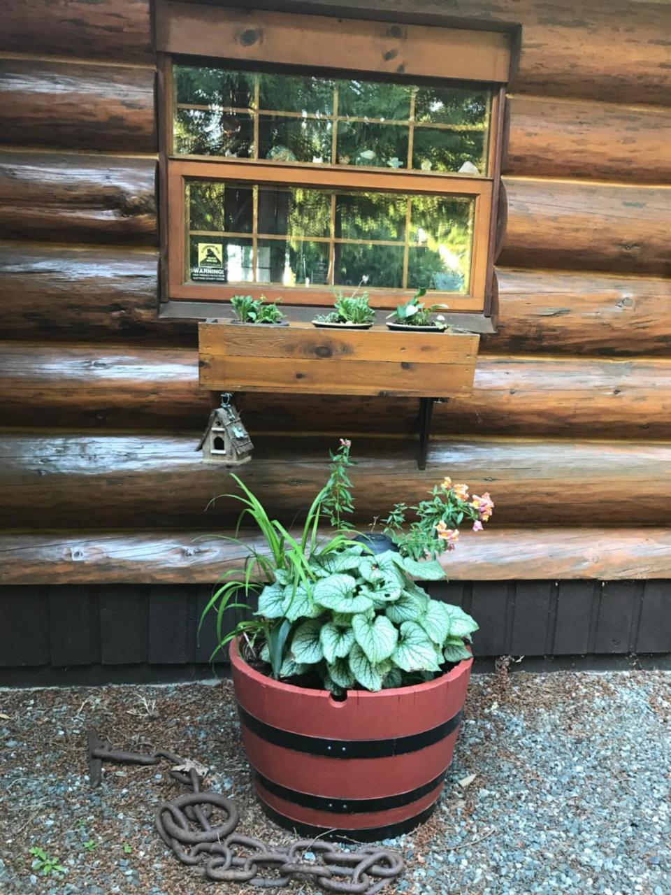 Union Bay Log Home Εξωτερικό φωτογραφία